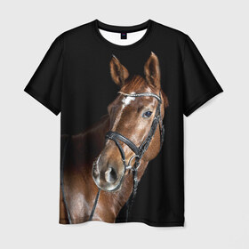 Мужская футболка 3D с принтом Гнедая лошадь , 100% полиэфир | прямой крой, круглый вырез горловины, длина до линии бедер | animal | beautiful | black | brown | eyes | gloss | horse | look | muscles | muzzle | portrait | взгляд | глаза | гнедая | животное | конь | коричневый | красивый | лоск | лошадь | мускулы | портрет | скакун | черный
