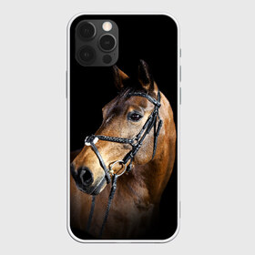 Чехол для iPhone 12 Pro Max с принтом Гнедая лошадь , Силикон |  | animal | beautiful | black | brown | eyes | gloss | harness | horse | look | muzzle | взгляд | глаза | гнедая | гнедой | животное | конь | коричневый | красивый | лоск | лошадь | сбруя | скакун | черный