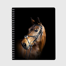 Тетрадь с принтом Гнедая лошадь , 100% бумага | 48 листов, плотность листов — 60 г/м2, плотность картонной обложки — 250 г/м2. Листы скреплены сбоку удобной пружинной спиралью. Уголки страниц и обложки скругленные. Цвет линий — светло-серый
 | Тематика изображения на принте: animal | beautiful | black | brown | eyes | gloss | harness | horse | look | muzzle | взгляд | глаза | гнедая | гнедой | животное | конь | коричневый | красивый | лоск | лошадь | сбруя | скакун | черный