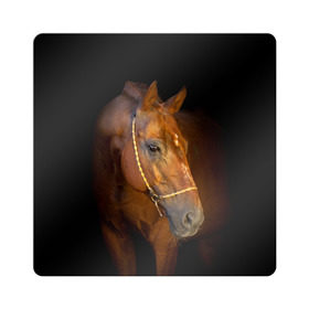 Магнит виниловый Квадрат с принтом Гнедая лошадь , полимерный материал с магнитным слоем | размер 9*9 см, закругленные углы | Тематика изображения на принте: animal | beautiful | black | brown | eyes | gloss | harness | horse | look | muzzle | взгляд | глаза | гнедой | животное | конь | коричневый | красивый | лоск | лошадь | сбруя | скакун | черный