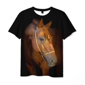 Мужская футболка 3D с принтом Гнедая лошадь , 100% полиэфир | прямой крой, круглый вырез горловины, длина до линии бедер | Тематика изображения на принте: animal | beautiful | black | brown | eyes | gloss | harness | horse | look | muzzle | взгляд | глаза | гнедой | животное | конь | коричневый | красивый | лоск | лошадь | сбруя | скакун | черный
