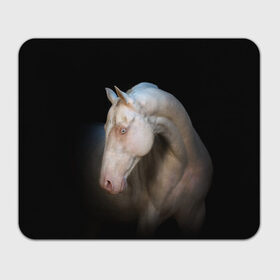Коврик для мышки прямоугольный с принтом Белая лошадь , натуральный каучук | размер 230 х 185 мм; запечатка лицевой стороны | animal | black | breed | horse | muscle | muzzle | strength | unusual | white | белый | животное | конь | лошадь | мышцы | необычный | порода | сила | скакун