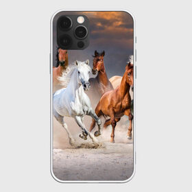 Чехол для iPhone 12 Pro Max с принтом Табун , Силикон |  | Тематика изображения на принте: animal | beautiful | black | brown | desert | gloss | herd | horse | mane | mustang | muzzle | nature | sand | white | wild | белый | грива | дикий | животное | конь | коричневый | красивый | лоск | лошадь | мустанг | песок | природа | пусты