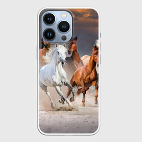 Чехол для iPhone 13 Pro с принтом Табун ,  |  | Тематика изображения на принте: animal | beautiful | black | brown | desert | gloss | herd | horse | mane | mustang | muzzle | nature | sand | white | wild | белый | грива | дикий | животное | конь | коричневый | красивый | лоск | лошадь | мустанг | песок | природа | пусты
