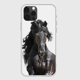 Чехол для iPhone 12 Pro с принтом Лошадь , силикон | область печати: задняя сторона чехла, без боковых панелей | animal | beautiful | black | horse | mane | mustang | muzzle | wild | грива | дикий | животное | конь | красивый | лошадь | мустанг | скакун | черный