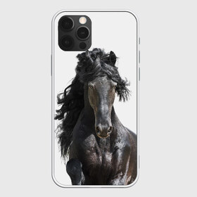 Чехол для iPhone 12 Pro Max с принтом Лошадь , Силикон |  | animal | beautiful | black | horse | mane | mustang | muzzle | wild | грива | дикий | животное | конь | красивый | лошадь | мустанг | скакун | черный