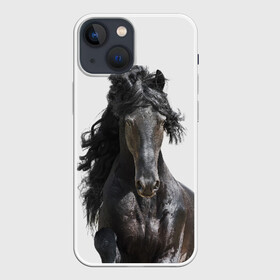 Чехол для iPhone 13 mini с принтом Лошадь ,  |  | animal | beautiful | black | horse | mane | mustang | muzzle | wild | грива | дикий | животное | конь | красивый | лошадь | мустанг | скакун | черный