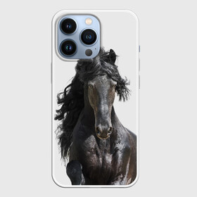 Чехол для iPhone 13 Pro с принтом Лошадь ,  |  | Тематика изображения на принте: animal | beautiful | black | horse | mane | mustang | muzzle | wild | грива | дикий | животное | конь | красивый | лошадь | мустанг | скакун | черный