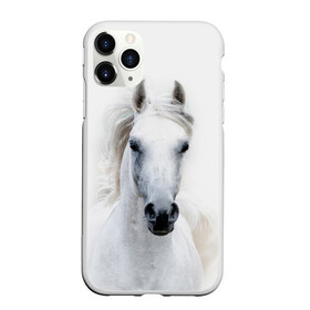 Чехол для iPhone 11 Pro матовый с принтом Белая лошадь , Силикон |  | animal | beautiful | gloss | horse | mane | mustang | muzzle | white | wild | белый | грива | дикий | животное | конь | красивый | лоск | лошадь | мустанг | скакун