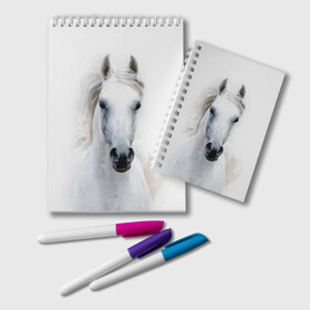 Блокнот с принтом Белая лошадь , 100% бумага | 48 листов, плотность листов — 60 г/м2, плотность картонной обложки — 250 г/м2. Листы скреплены удобной пружинной спиралью. Цвет линий — светло-серый
 | animal | beautiful | gloss | horse | mane | mustang | muzzle | white | wild | белый | грива | дикий | животное | конь | красивый | лоск | лошадь | мустанг | скакун