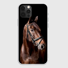 Чехол для iPhone 12 Pro Max с принтом Гнедая лошадь , Силикон |  | animal | beautiful | black | brown | eyes | gloss | harness | horse | look | muzzle | взгляд | глаза | гнедая | животное | конь | коричневый | красивый | лоск | лошадь | сбруя | скакун | черный