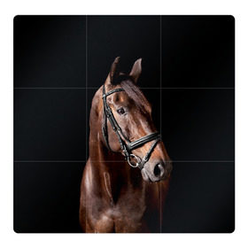 Магнитный плакат 3Х3 с принтом Гнедая лошадь , Полимерный материал с магнитным слоем | 9 деталей размером 9*9 см | Тематика изображения на принте: animal | beautiful | black | brown | eyes | gloss | harness | horse | look | muzzle | взгляд | глаза | гнедая | животное | конь | коричневый | красивый | лоск | лошадь | сбруя | скакун | черный