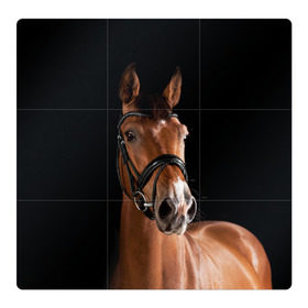 Магнитный плакат 3Х3 с принтом Гнедая лошадь , Полимерный материал с магнитным слоем | 9 деталей размером 9*9 см | Тематика изображения на принте: animal | beautiful | black | brown | eyes | gloss | harness | horse | look | muzzle | взгляд | глаза | гнедая | животное | конь | коричневый | красивый | лоск | лошадь | сбруя | скакун | черный