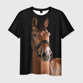 Мужская футболка 3D с принтом Гнедая лошадь , 100% полиэфир | прямой крой, круглый вырез горловины, длина до линии бедер | Тематика изображения на принте: animal | beautiful | black | brown | eyes | gloss | harness | horse | look | muzzle | взгляд | глаза | гнедая | животное | конь | коричневый | красивый | лоск | лошадь | сбруя | скакун | черный