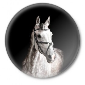 Значок с принтом Серный в яблоках конь ,  металл | круглая форма, металлическая застежка в виде булавки | animal | beautiful | black | eyes | gloss | harness | horse | look | muzzle | spotted | white | белый | в яблоках | взгляд | глаза | животное | конь | красивый | лоск | лошадь | пятнистый | сбруя | серый | скакун | черный