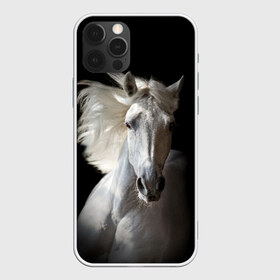 Чехол для iPhone 12 Pro Max с принтом Белая лошадь , Силикон |  | animal | beautiful | black | eyes | gloss | grace | harness | horse | look | mane | muzzle | strength | white | белая | взгляд | глаза | грация | грива | животное | конь | красивый | лоск | лошадь | сбруя | сила | скакун