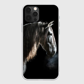 Чехол для iPhone 12 Pro Max с принтом Серный в яблоках конь , Силикон |  | animal | beautiful | black | eyes | gloss | harness | horse | look | muzzle | portrait | в яблоках | взгляд | глаза | животное | конь | красивый | лоск | лошадь | портрет | сбруя | серый | скакун