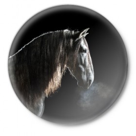 Значок с принтом Серный в яблоках конь ,  металл | круглая форма, металлическая застежка в виде булавки | animal | beautiful | black | eyes | gloss | harness | horse | look | muzzle | portrait | в яблоках | взгляд | глаза | животное | конь | красивый | лоск | лошадь | портрет | сбруя | серый | скакун