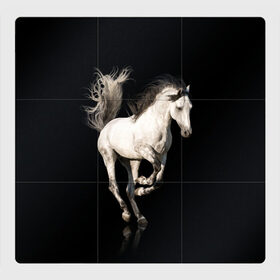 Магнитный плакат 3Х3 с принтом Серный в яблоках конь , Полимерный материал с магнитным слоем | 9 деталей размером 9*9 см | animal | beautiful | black | gloss | horse | mane | mustang | muzzle | white | wild | белый | в яблоках | грива | дикий | животное | конь | красивый | лоск | лошадь | мустанг | серый | скакун | черный