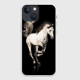 Чехол для iPhone 13 mini с принтом Серный в яблоках конь ,  |  | animal | beautiful | black | gloss | horse | mane | mustang | muzzle | white | wild | белый | в яблоках | грива | дикий | животное | конь | красивый | лоск | лошадь | мустанг | серый | скакун | черный
