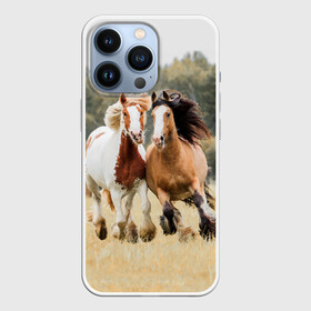 Чехол для iPhone 13 Pro с принтом Лошади ,  |  | Тематика изображения на принте: animal | free | horse | mane | nature | pair | polish | wild | грива | дикий | животное | конь | лоск | лошадь | пара | природа | свободный | скакун