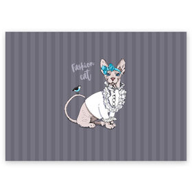 Поздравительная открытка с принтом Fashion cat , 100% бумага | плотность бумаги 280 г/м2, матовая, на обратной стороне линовка и место для марки
 | Тематика изображения на принте: bird | bow | breed | cat | glamor | look | muzzle | sphinx | style | tail | бант | взгляд | гламур | кошка | порода | птица | стиль | сфинкс | хвост