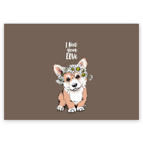 Поздравительная открытка с принтом I need your love , 100% бумага | плотность бумаги 280 г/м2, матовая, на обратной стороне линовка и место для марки
 | animal | breed | chamomile | cute | dog | flowers | funny | i need your love | inscription | puppy | welsh corgi pembroke | вельш корги пемброк | животное | забавный | любовь | милый | мне нужна твоя любовь | надпись | порода | ромашки | собака | цв