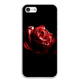 Чехол для iPhone 5/5S матовый с принтом Кровавая роза , Силикон | Область печати: задняя сторона чехла, без боковых панелей | брызги | кровавая роза | кровь | роза | цветы