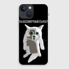 Чехол для iPhone 13 mini с принтом Кот Гопник ,  |  | cat | гопник | злой кот | интернет приколы | кот | котик | кошак | мем | мемы | надпись | рисунок