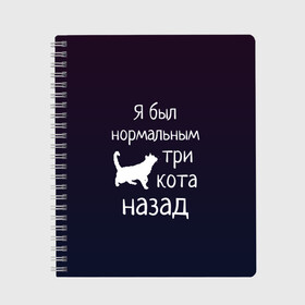 Тетрадь с принтом Я был в норме три кота назад , 100% бумага | 48 листов, плотность листов — 60 г/м2, плотность картонной обложки — 250 г/м2. Листы скреплены сбоку удобной пружинной спиралью. Уголки страниц и обложки скругленные. Цвет линий — светло-серый
 | cats | normal | жизненно | жизнь | котики | коты | котэ | кошатник | кошатница | кошка | кошки | нормальный