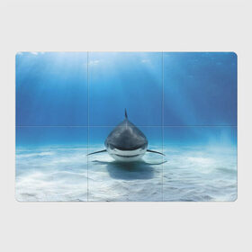 Магнитный плакат 3Х2 с принтом Анфас , Полимерный материал с магнитным слоем | 6 деталей размером 9*9 см | bottom | fin | full face | jaw | ocean | sand | shark | water | акула | анфас | вода | дно | океан | песок | плавник