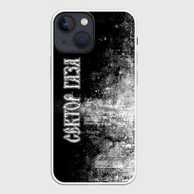Чехол для iPhone 13 mini с принтом Сектор Газа ,  |  | альтернативный | газа | группа | камеди рок | клинских | мелодекламация | метал | панк | реп | рок | рэп | сг | сектор | сектор газа | синти | советский | фолк | хард | хой | хоррор | юра. юрка | юрий