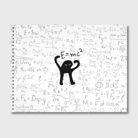 Альбом для рисования с принтом ЪУЪ СЪУКА E=mc2 , 100% бумага
 | матовая бумага, плотность 200 мг. | Тематика изображения на принте: cat | emc 2 | emc2 | mem | memes | truxkot19 | знаменитые формулы | интернет приколы | кот | мем | мем кот | физика | формулы | ъуъ | ъуъ съука | эйнштейн