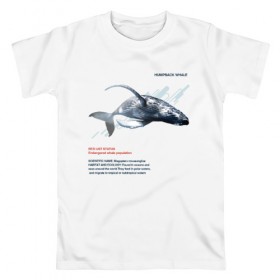 Мужская футболка хлопок с принтом Hampback whale , 100% хлопок | прямой крой, круглый вырез горловины, длина до линии бедер, слегка спущенное плечо. | animals | red book | red list | животные | животные из красной книги | красная книга | редкие животные