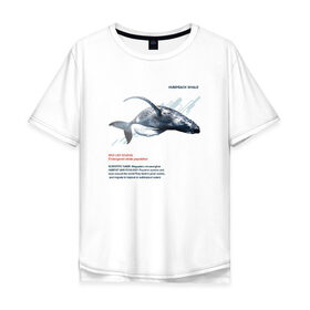Мужская футболка хлопок Oversize с принтом Hampback whale , 100% хлопок | свободный крой, круглый ворот, “спинка” длиннее передней части | animals | red book | red list | животные | животные из красной книги | красная книга | редкие животные