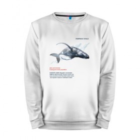 Мужской свитшот хлопок с принтом Hampback whale , 100% хлопок |  | animals | red book | red list | животные | животные из красной книги | красная книга | редкие животные