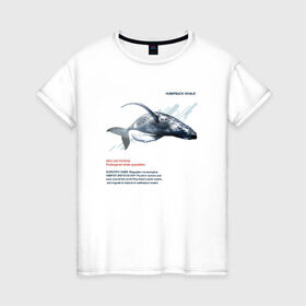 Женская футболка хлопок с принтом Hampback whale , 100% хлопок | прямой крой, круглый вырез горловины, длина до линии бедер, слегка спущенное плечо | animals | red book | red list | животные | животные из красной книги | красная книга | редкие животные
