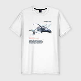 Мужская футболка премиум с принтом Hampback whale , 92% хлопок, 8% лайкра | приталенный силуэт, круглый вырез ворота, длина до линии бедра, короткий рукав | animals | red book | red list | животные | животные из красной книги | красная книга | редкие животные