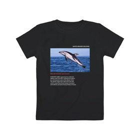 Детская футболка хлопок с принтом White-beaked Dolphin , 100% хлопок | круглый вырез горловины, полуприлегающий силуэт, длина до линии бедер | animals | red book | red list | животные | животные из красной книги | красная книга | редкие животные