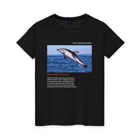 Женская футболка хлопок с принтом White-beaked Dolphin , 100% хлопок | прямой крой, круглый вырез горловины, длина до линии бедер, слегка спущенное плечо | animals | red book | red list | животные | животные из красной книги | красная книга | редкие животные