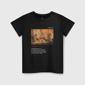 Детская футболка хлопок с принтом Corsac fox , 100% хлопок | круглый вырез горловины, полуприлегающий силуэт, длина до линии бедер | animals | red book | red list | животные | животные из красной книги | красная книга | редкие животные