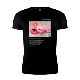 Мужская футболка премиум с принтом Greater Flamingo , 92% хлопок, 8% лайкра | приталенный силуэт, круглый вырез ворота, длина до линии бедра, короткий рукав | animals | red book | red list | животные | животные из красной книги | красная книга | редкие животные | фламинго