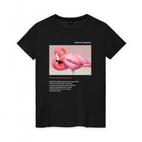 Женская футболка хлопок с принтом Greater Flamingo , 100% хлопок | прямой крой, круглый вырез горловины, длина до линии бедер, слегка спущенное плечо | animals | red book | red list | животные | животные из красной книги | красная книга | редкие животные | фламинго