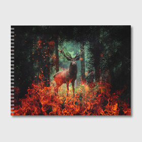 Альбом для рисования с принтом Олень в горящем лесу Сибири , 100% бумага
 | матовая бумага, плотность 200 мг. | животные | лес | огонь | олень | пламы | пожар | сибирь