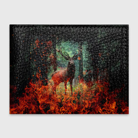 Обложка для студенческого билета с принтом Олень в горящем лесу Сибири , натуральная кожа | Размер: 11*8 см; Печать на всей внешней стороне | животные | лес | огонь | олень | пламы | пожар | сибирь