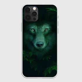 Чехол для iPhone 12 Pro Max с принтом Сибирь Лесной волк , Силикон |  | safesibiria | siberia | алтай | волк | дикий | елки | ель | лес | охота | сибирь | сибирь горит | сибирьгорит | спаситесибирь | тайга | шерегеш | экология