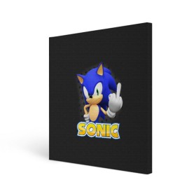 Холст квадратный с принтом Sonic , 100% ПВХ |  | hedgehog | metal sonic | silver | silver the hedgehog | sonic | sonic boom | sonic the hedgehog | еж | ёж сонник | ежик | игры | соник | фильмы