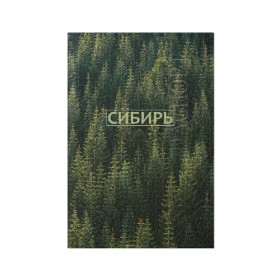Обложка для паспорта матовая кожа с принтом Сибирь , натуральная матовая кожа | размер 19,3 х 13,7 см; прозрачные пластиковые крепления | Тематика изображения на принте: елки | зеленый лес | лес | надпись | сибирь | сибирьгорит