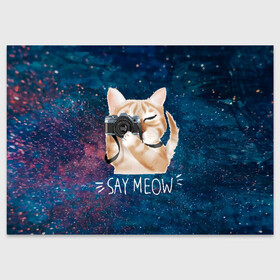 Поздравительная открытка с принтом Say Meow , 100% бумага | плотность бумаги 280 г/м2, матовая, на обратной стороне линовка и место для марки
 | meow | кот | котенок | котик | котики | котятка | кошка | мяу | скажи мяу | фотоаппарат | фотограф