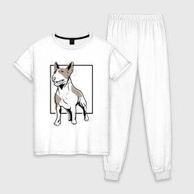 Женская пижама хлопок с принтом Бультерьер , 100% хлопок | брюки и футболка прямого кроя, без карманов, на брюках мягкая резинка на поясе и по низу штанин | bull | bull terrier | dog | terrier | бультерьер | собака | собаки